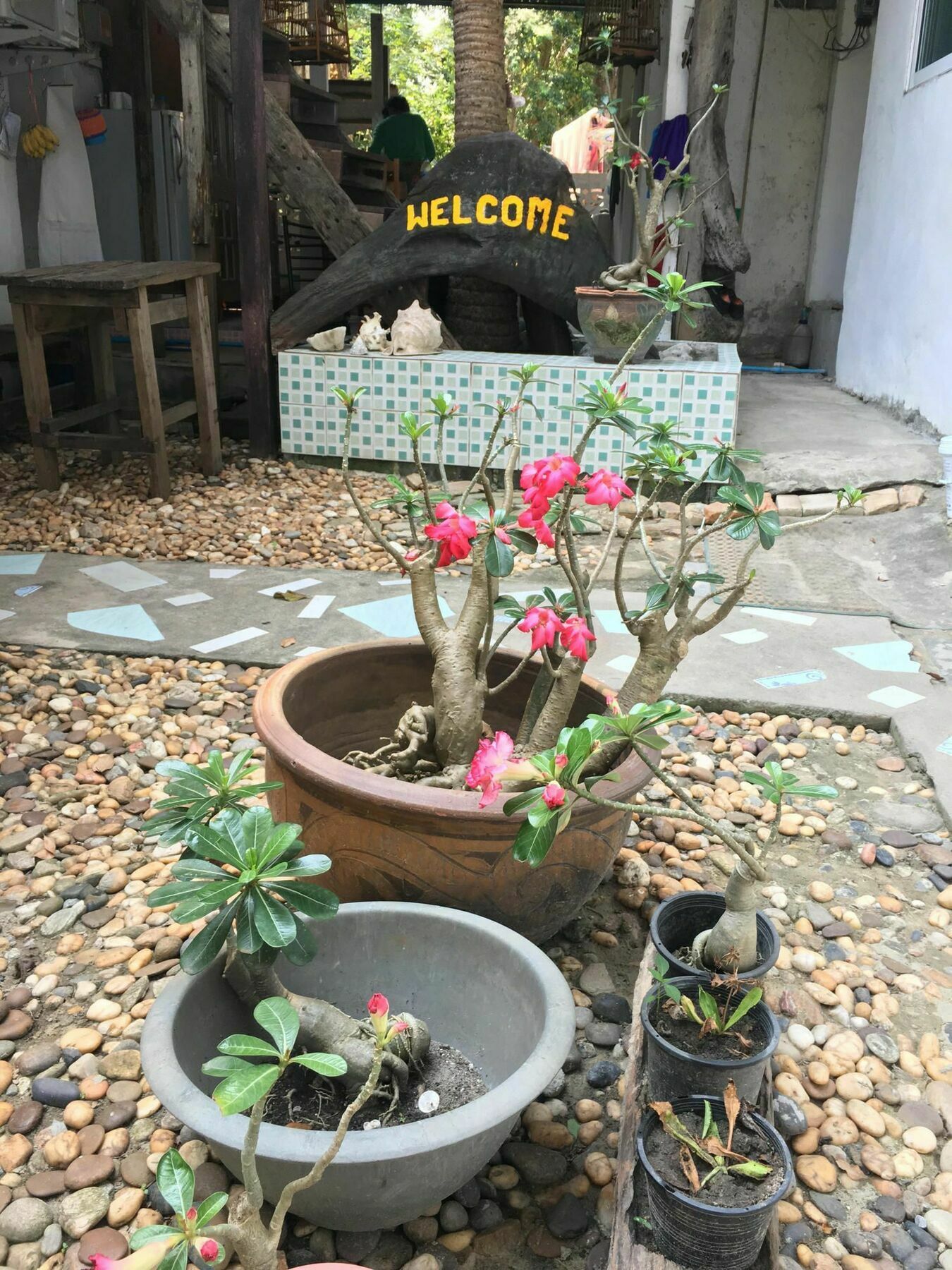 Hotel Miss Hong House Koh Samet Esterno foto